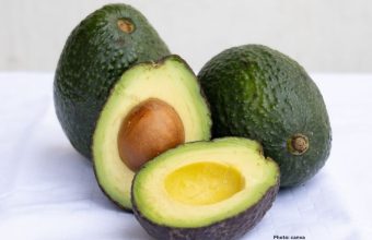 Photo Health Benefits of Daily Avocado Consumption Explored by Gastroenterologist