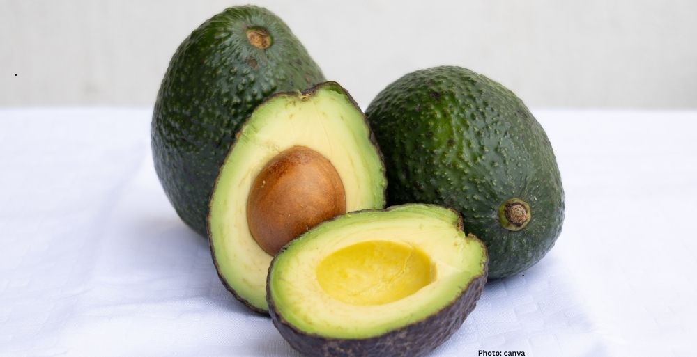 Photo Health Benefits of Daily Avocado Consumption Explored by Gastroenterologist