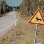 Photo India Launches Innovative Red Road to Protect Wildlife on National Highway 45