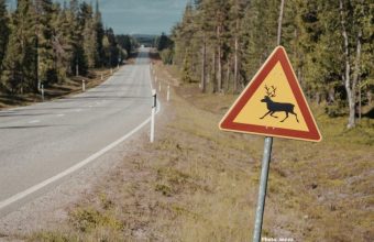 Photo India Launches Innovative Red Road to Protect Wildlife on National Highway 45