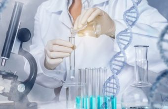 Photo New Findings on DNA Polymerases Challenge Traditional Understanding of DNA Synthesis