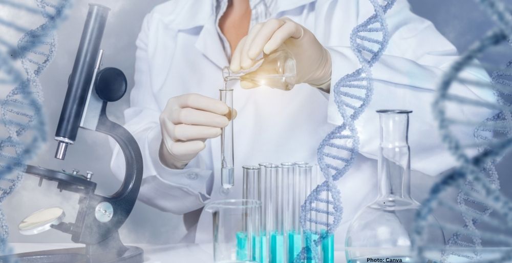 Photo New Findings on DNA Polymerases Challenge Traditional Understanding of DNA Synthesis