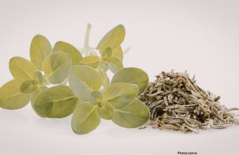 Photo Research Highlights Potential Cardiovascular Benefits of Oregano