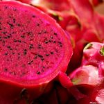 Photo Research Team Enhances Bread Nutritional Value Using Red Dragon Fruit Peel Extract