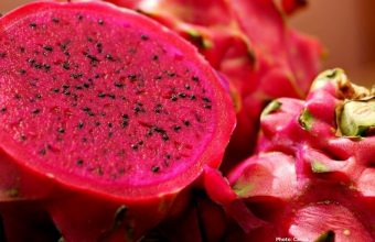 Photo Research Team Enhances Bread Nutritional Value Using Red Dragon Fruit Peel Extract