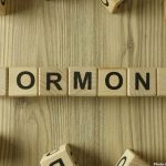 Photo Research Unveils Role of FGF21 Hormone in Obesity Reversal Through Brain Mechanisms