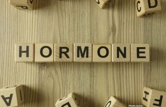 Photo Research Unveils Role of FGF21 Hormone in Obesity Reversal Through Brain Mechanisms