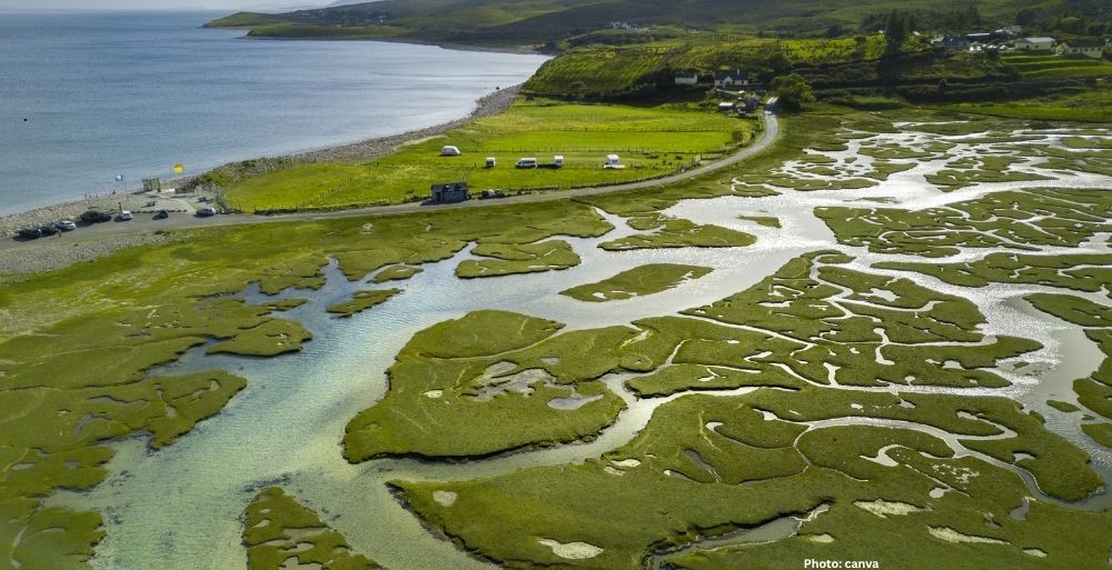 Photo Study Reveals Accelerated Subsidence in Major River Deltas Threatening Millions