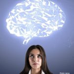 Photo Study Reveals Competition Among Brain Circuits is Essential for Intelligent Behavior