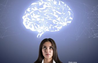 Photo Study Reveals Competition Among Brain Circuits is Essential for Intelligent Behavior