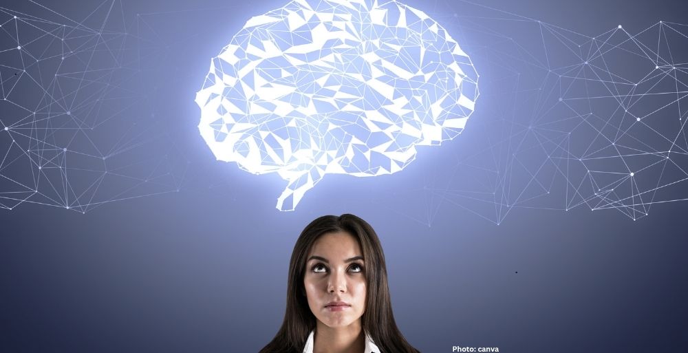 Photo Study Reveals Competition Among Brain Circuits is Essential for Intelligent Behavior