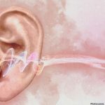 Photo Understanding Synaesthesia The Overlap of Senses and Its Implications