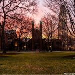 Photo Yale Students Seek Alternative Career Pathways Amid Uncertain Job Market