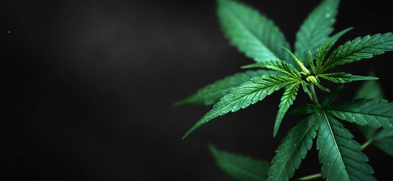 WhatsApp Image 2026 04 24 at 02 15 28