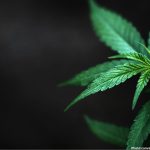 WhatsApp Image 2026 04 24 at 02 15 28