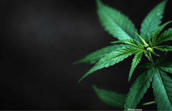 WhatsApp Image 2026 04 24 at 02 15 28