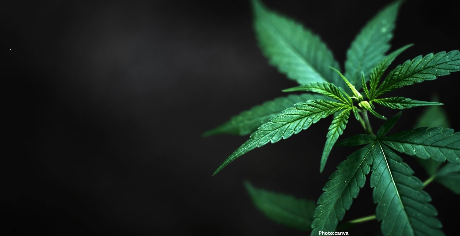 WhatsApp Image 2026 04 24 at 02 15 28