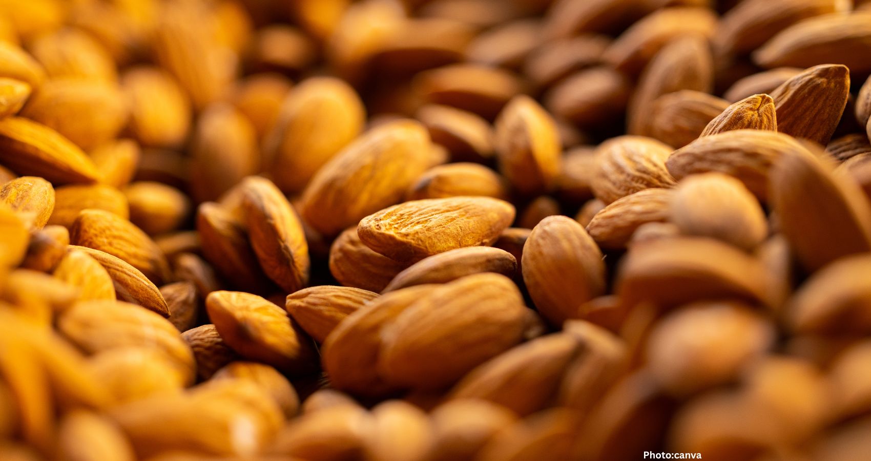 Clinical Studies Link Almond Consumption to Enhanced Microflora Functionality and Cardiovascular Risk Reduction