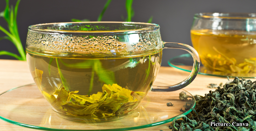 GNN Daily Consumption of Green Tea Linked to Reduced Heart Disease Risk