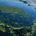 GNN Indian Scientist Leads Discovery of 12 6 Billion Year Old Galaxy Cluster Named After Manipur's Loktak Lake
