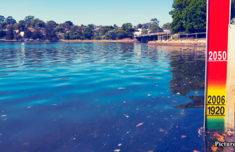 GNN Satellite Data Indicates Accelerating Sea Level Rise Raising Concerns for Coastal Cities