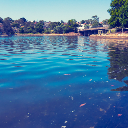 GNN Satellite Data Indicates Accelerating Sea Level Rise Raising Concerns for Coastal Cities