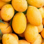 GNN Severe Weather Devastates India's Alphonso Mango Crop Threatening Livelihoods and Economy