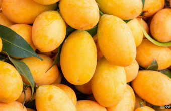 GNN Severe Weather Devastates India's Alphonso Mango Crop Threatening Livelihoods and Economy
