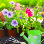 GNN Strategies for Gardening Success Amidst Widespread Drought Conditions