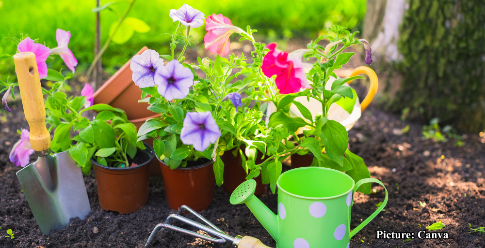 GNN Strategies for Gardening Success Amidst Widespread Drought Conditions