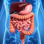 GNN Study Links Vitamin D Levels to Management of Inflammatory Bowel Disease Symptoms