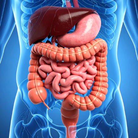 GNN Study Links Vitamin D Levels to Management of Inflammatory Bowel Disease Symptoms