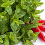 GNN Study Reveals Synergistic Anti Inflammatory Effects of Chili Peppers Mint and Eucalyptus