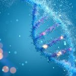 The Interplay of Genetics and Lifestyle in Determining Longevity Healthandwellness — The Interplay of Genetics and Lifestyle in Determining Longevity