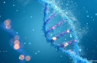 Healthandwellness — The Interplay of Genetics and Lifestyle in Determining Longevity
