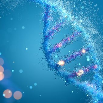 Healthandwellness — The Interplay of Genetics and Lifestyle in Determining Longevity