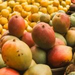Japan Halts Indian Mango Imports Over Quarantine Concerns, Sparking Monopoly Claims from Exporters Japan Halts Indian Mango Imports Over Quarantine Concerns Sparking Monopoly Claims from Exporters