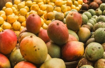 Japan Halts Indian Mango Imports Over Quarantine Concerns Sparking Monopoly Claims from Exporters