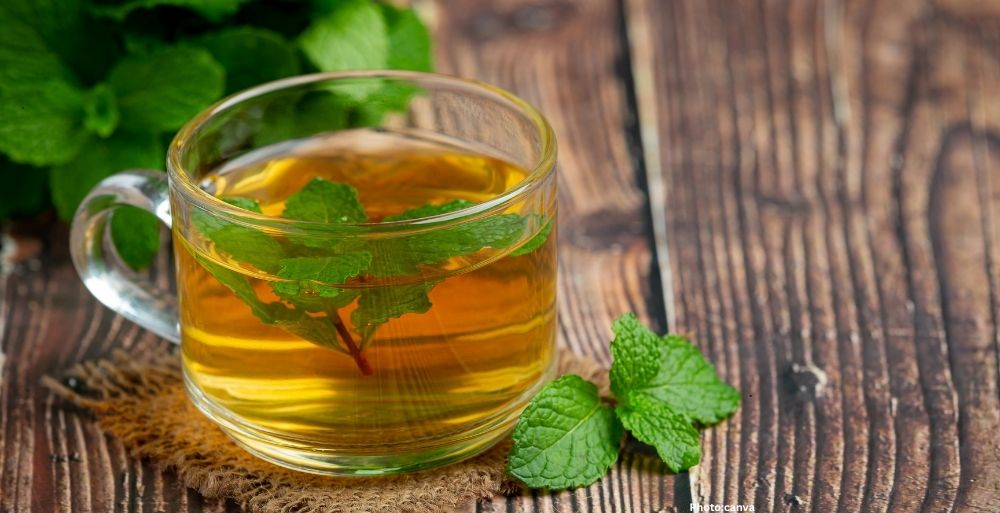 Photo Peppermint Tea A Natural Solution for Post Meal Digestion Issues