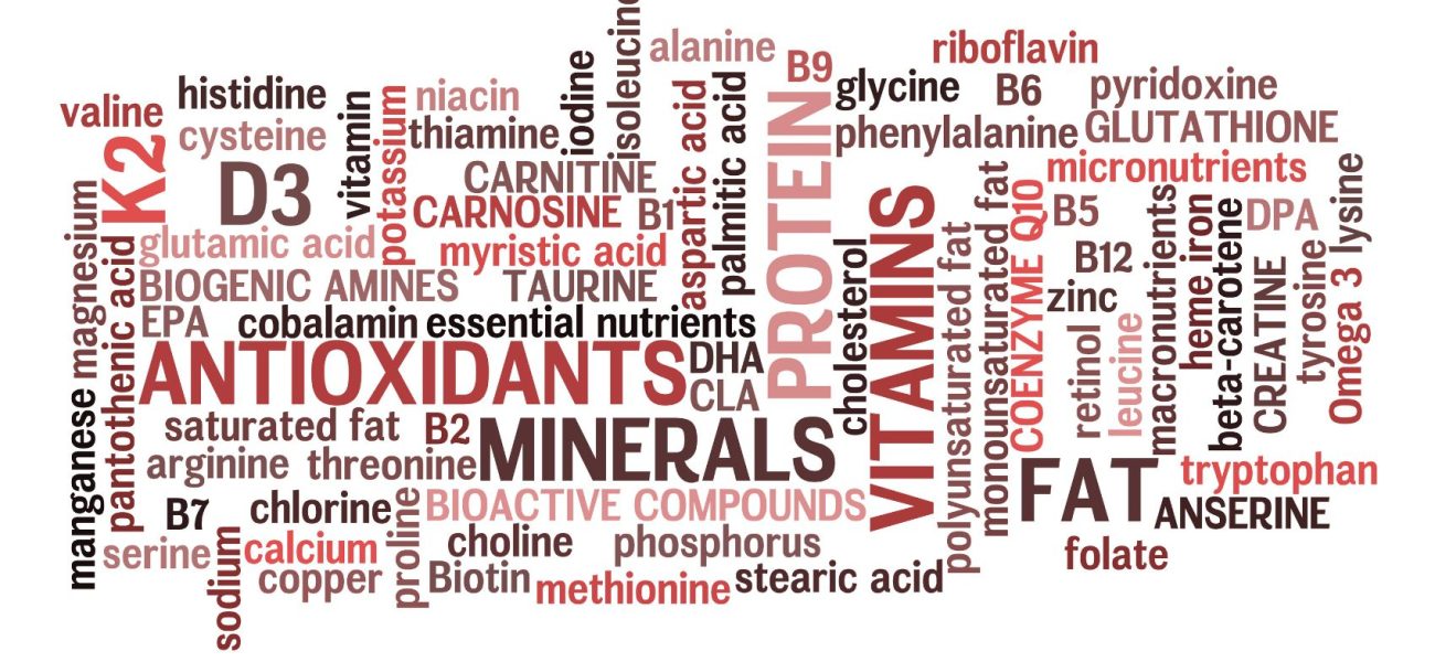 Public Health Agencies Assess Dietary Strategies to Address Global Micronutrient Deficiencies and Metabolic Disease Risks