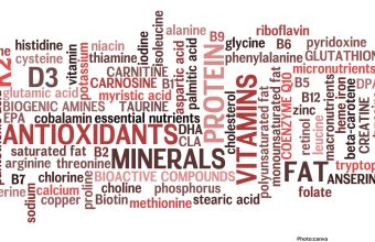 Public Health Agencies Assess Dietary Strategies to Address Global Micronutrient Deficiencies and Metabolic Disease Risks