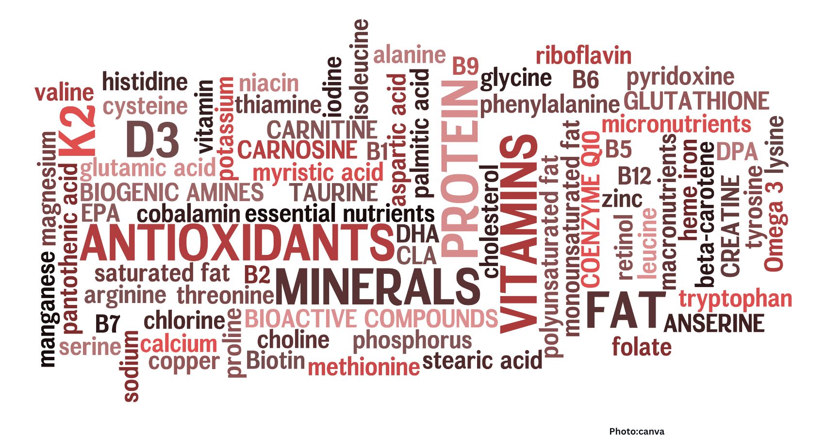 Public Health Agencies Assess Dietary Strategies to Address Global Micronutrient Deficiencies and Metabolic Disease Risks