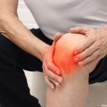 Researchers Identify SHP Protein as Key to Osteoarthritis Treatment