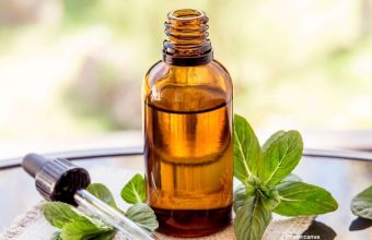Study Suggests Peppermint Oil as Potential Treatment for Mild Hypertension
