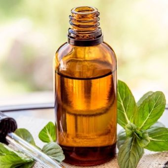 Study Suggests Peppermint Oil as Potential Treatment for Mild Hypertension