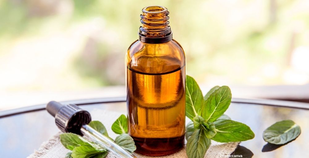 Study Suggests Peppermint Oil as Potential Treatment for Mild Hypertension