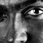 The Evolutionary Significance of Eyebrows in Human Communication
