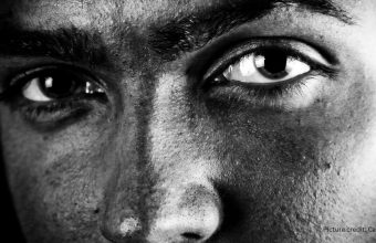 The Evolutionary Significance of Eyebrows in Human Communication
