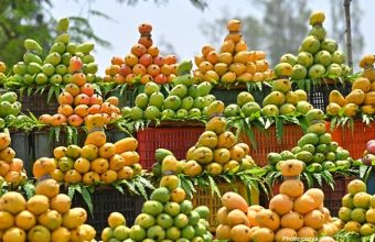 Annual Mango Festival in Washington Highlights Popularity of Indian Mangoes (1)