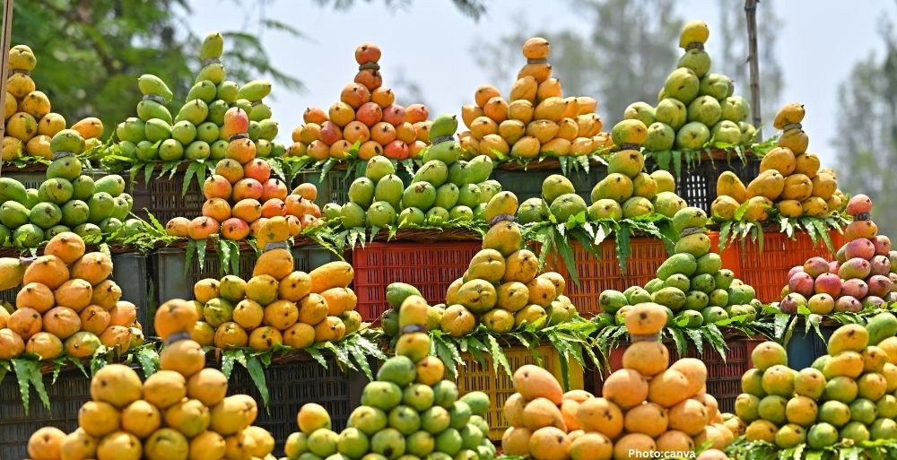 Annual Mango Festival in Washington Highlights Popularity of Indian Mangoes (1)